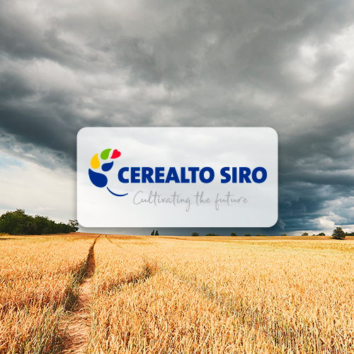 Cerealto Siro - Markniac MKT