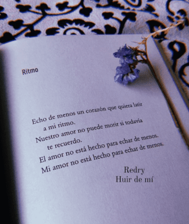 Poesia del libro Huir de mi Redry
