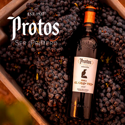 Botella de vino de Bodegas Protos